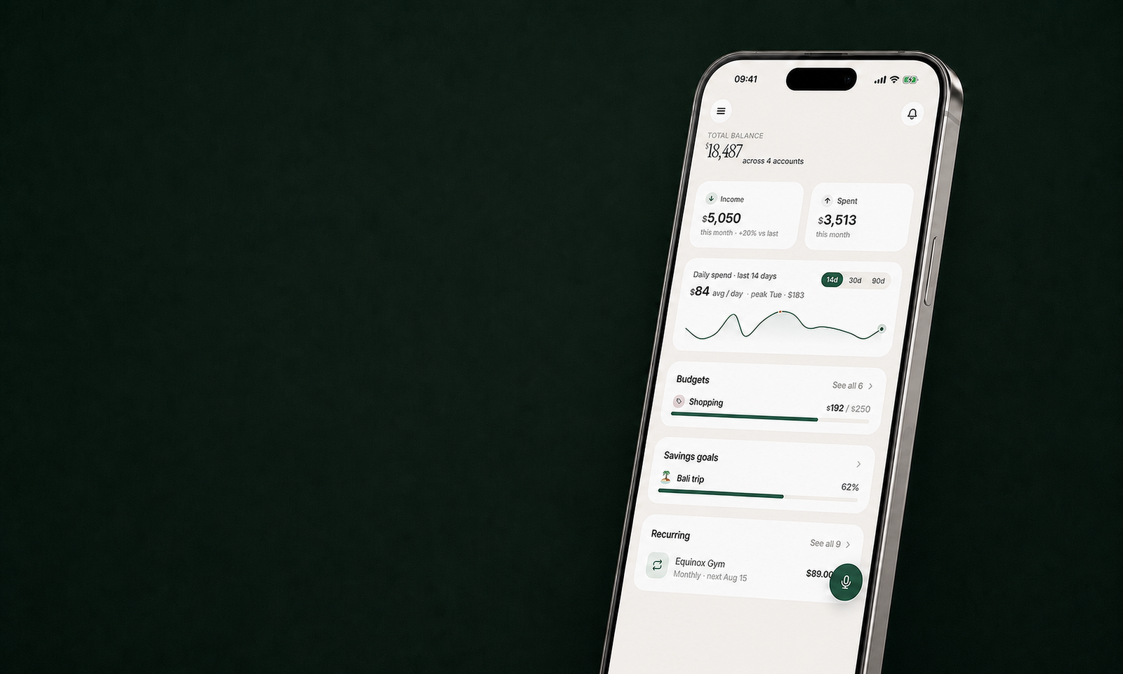 Pockita budgeting app on iPhone